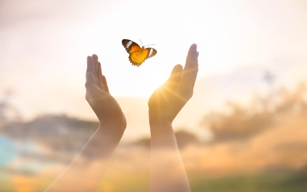 Forgiveness is Freedom